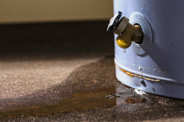 Best Carpet water damage restoration  in Beaumont, TX