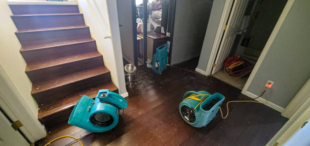 Best Water damage restoration insurance claims  in Beaumont, TX