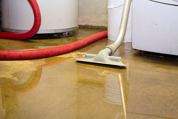 Best Water damage cleanup near me  in Beaumont, TX