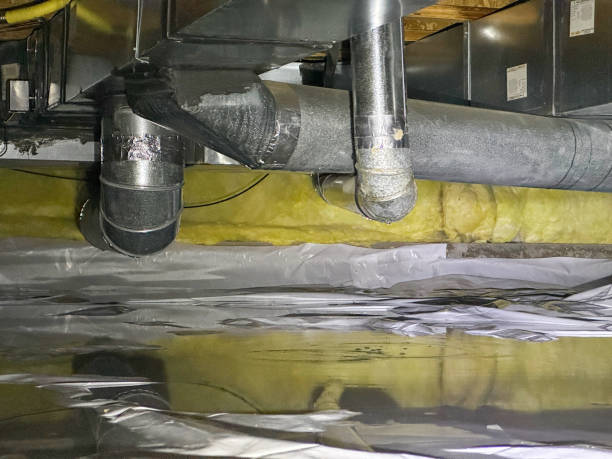 Best Flooded house restoration  in Beaumont, TX