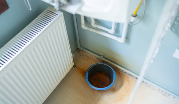 Best Flood restoration services  in Beaumont, TX