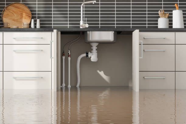 Best Water damage restoration process  in Beaumont, TX